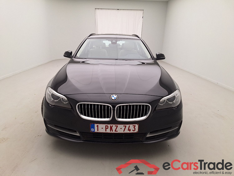 BMW, 5-serie Touring '10, BMW 5 Reeks Touring 520d xDrive (120 kW) 5d #1