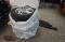 preview Ford Focus #4