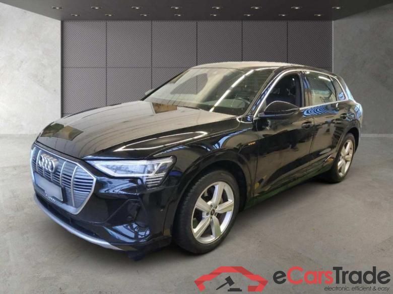 Audi e-tron (GEN)(01.2019->) DE - SUV5 50 quattro, S line, 2019 - 2023 #1