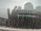 preview Volkswagen T5 Transporter #1