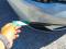 preview Volkswagen Polo #5