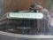 preview Audi A4 #3