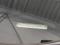 preview Skoda Octavia #1