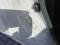 preview Peugeot 108 #1