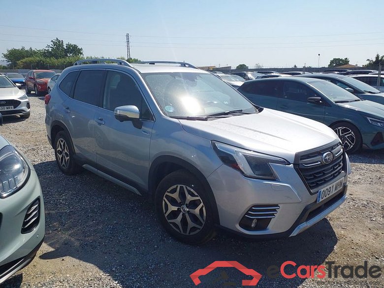SUBARU Forester 2.0 HEV 150CV PLUS AUT Executive #1