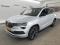 preview Skoda Karoq #0