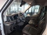 Ford Transit Kasten  #4
