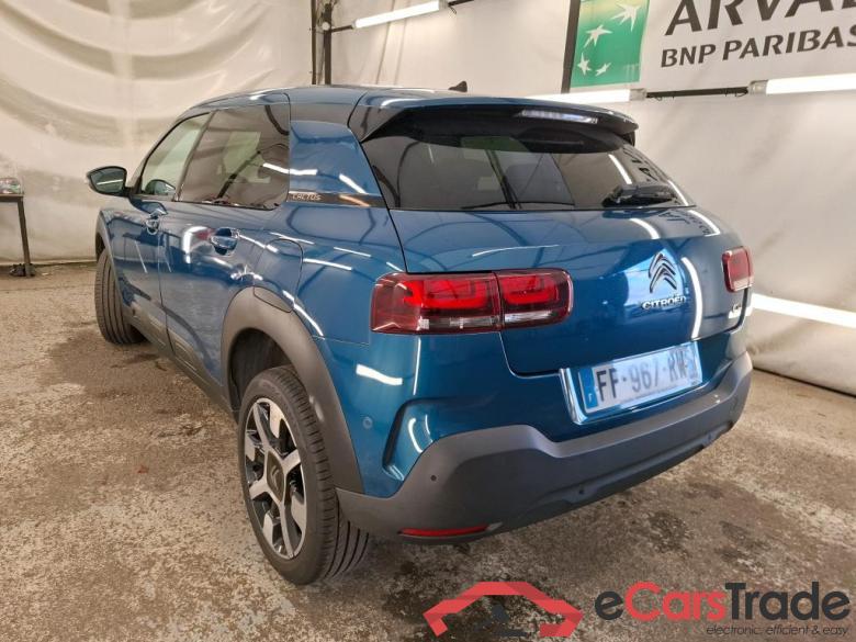 C4 Cactus Shine Business 1.5 BlueHDi 100CV BVM6 E6dT #2
