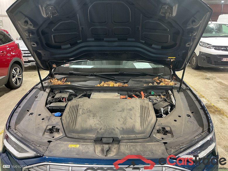 AUDI E-TRON 95 kWh 55 Quattro Advanced #6