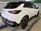 preview Opel Grandland X #2