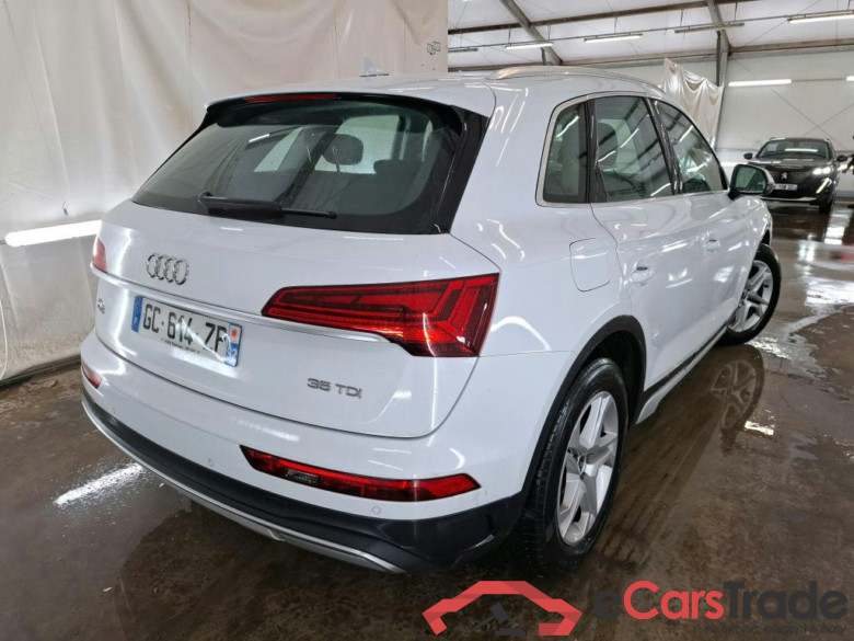 Q5 35 TDI Business Executive 2.0 TDI 165CV BVA7 E6d #3