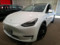 preview Tesla Model Y #0