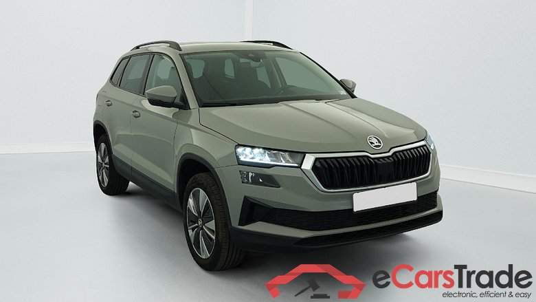Skoda Karoq 2.0 TDI 116 ch SCR DSG7 Business