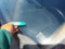 preview Ford Focus #5
