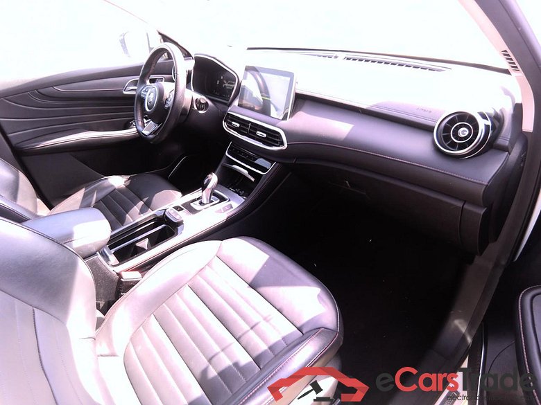 EHS LUXURY PHEV 258CH RISK chtx #6