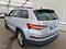 preview Skoda Kodiaq #1