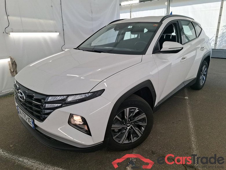 Tucson Business Hybrid 2WD 1.6 T-GDI 230CV BVA6 E6d #1
