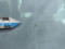 preview Ford Transit #5