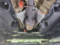 preview Ford Fiesta #4