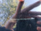 preview Volkswagen Polo #1
