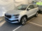 preview Skoda Karoq #0