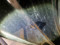 preview Opel Corsa #2
