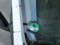 preview Ford Transit #1