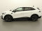preview Renault Symbioz #3