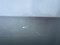 preview Volkswagen Golf #1