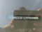 preview Volkswagen ID.3 #1