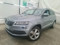 preview Skoda Karoq #0