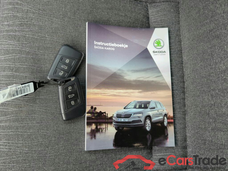SKODA Karoq 110 kW #6