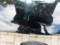 preview Mercedes C 200 #3