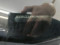 preview Volkswagen Polo #1