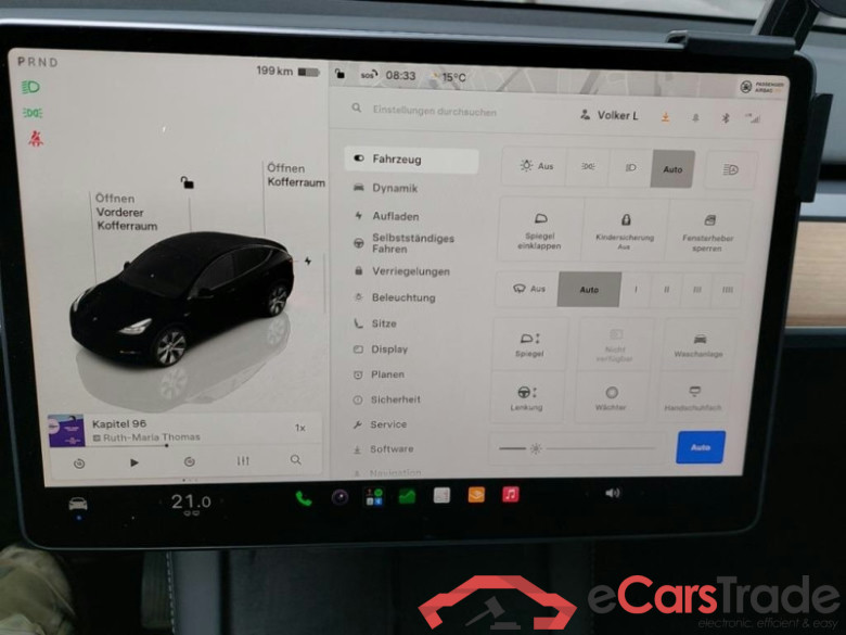 TESLA Model Y  #6